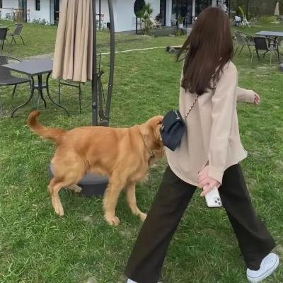 彩虹少年穿越大冒险